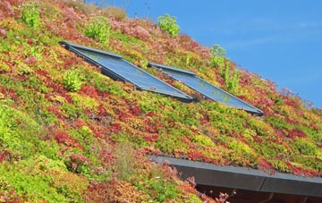 Silford living roof systems
